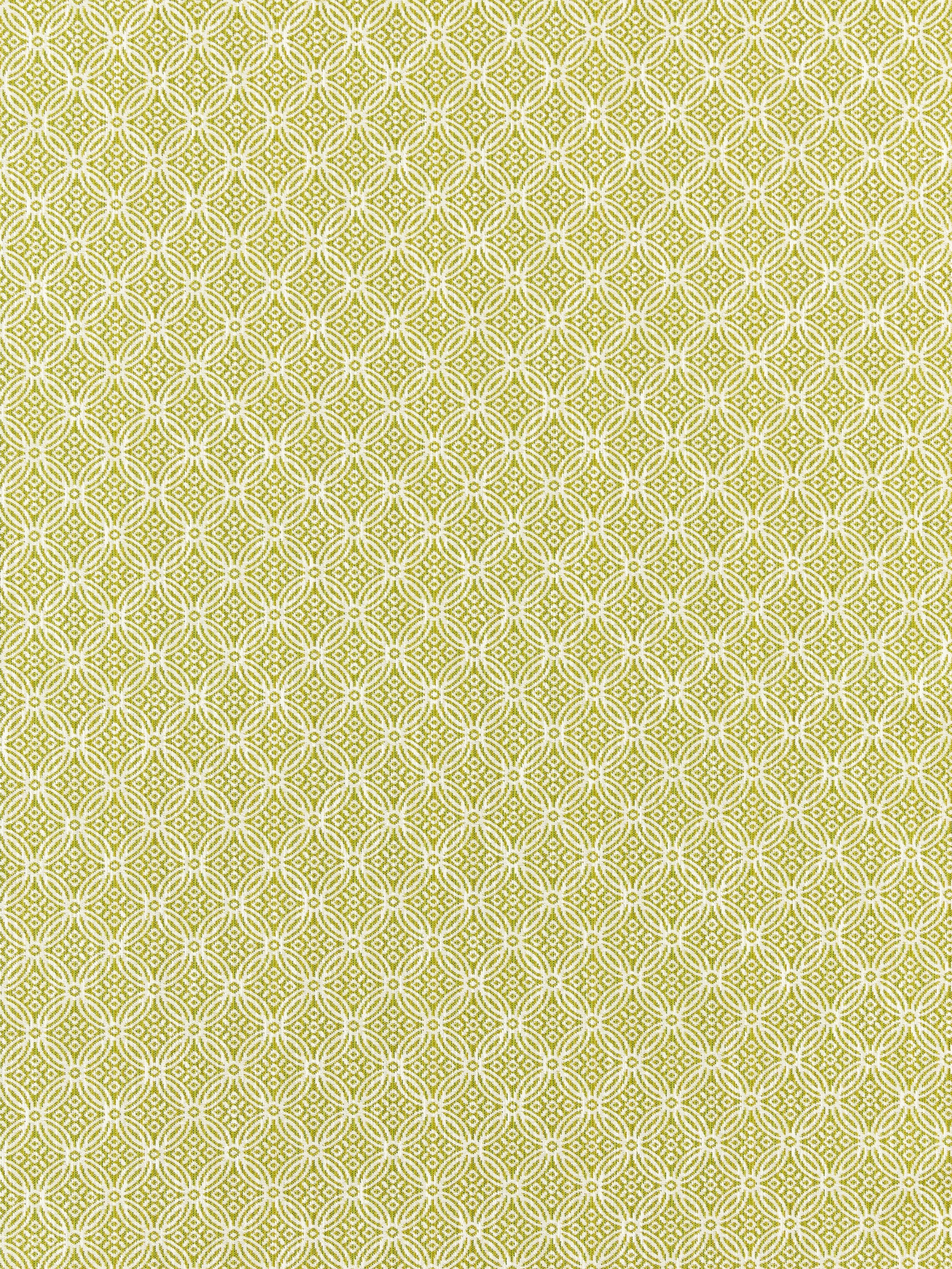 Cape May fabric in key lime color - pattern number SC 000227317 - by Scalamandre in the Scalamandre Fabrics Book 1 collection