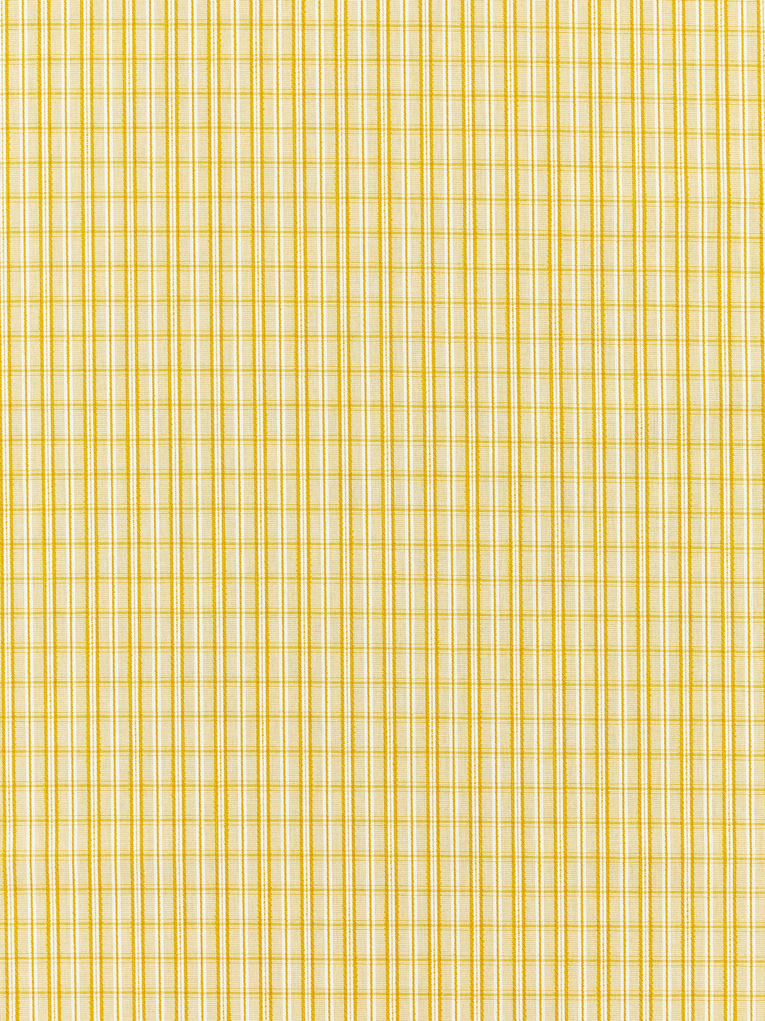 Check Please Outdoor fabric in goldenrod color - pattern number SC 000227318 - by Scalamandre in the Scalamandre Fabrics Book 1 collection