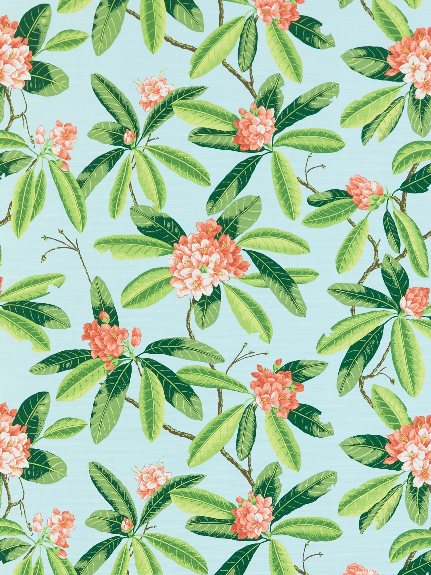 Rhododendron Outdoor fabric in coral on aqua color - pattern number SC 000316454M - by Scalamandre in the Scalamandre Fabrics Book 1 collection