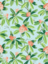 Rhododendron Outdoor fabric in coral on aqua color - pattern number SC 000316454M - by Scalamandre in the Scalamandre Fabrics Book 1 collection