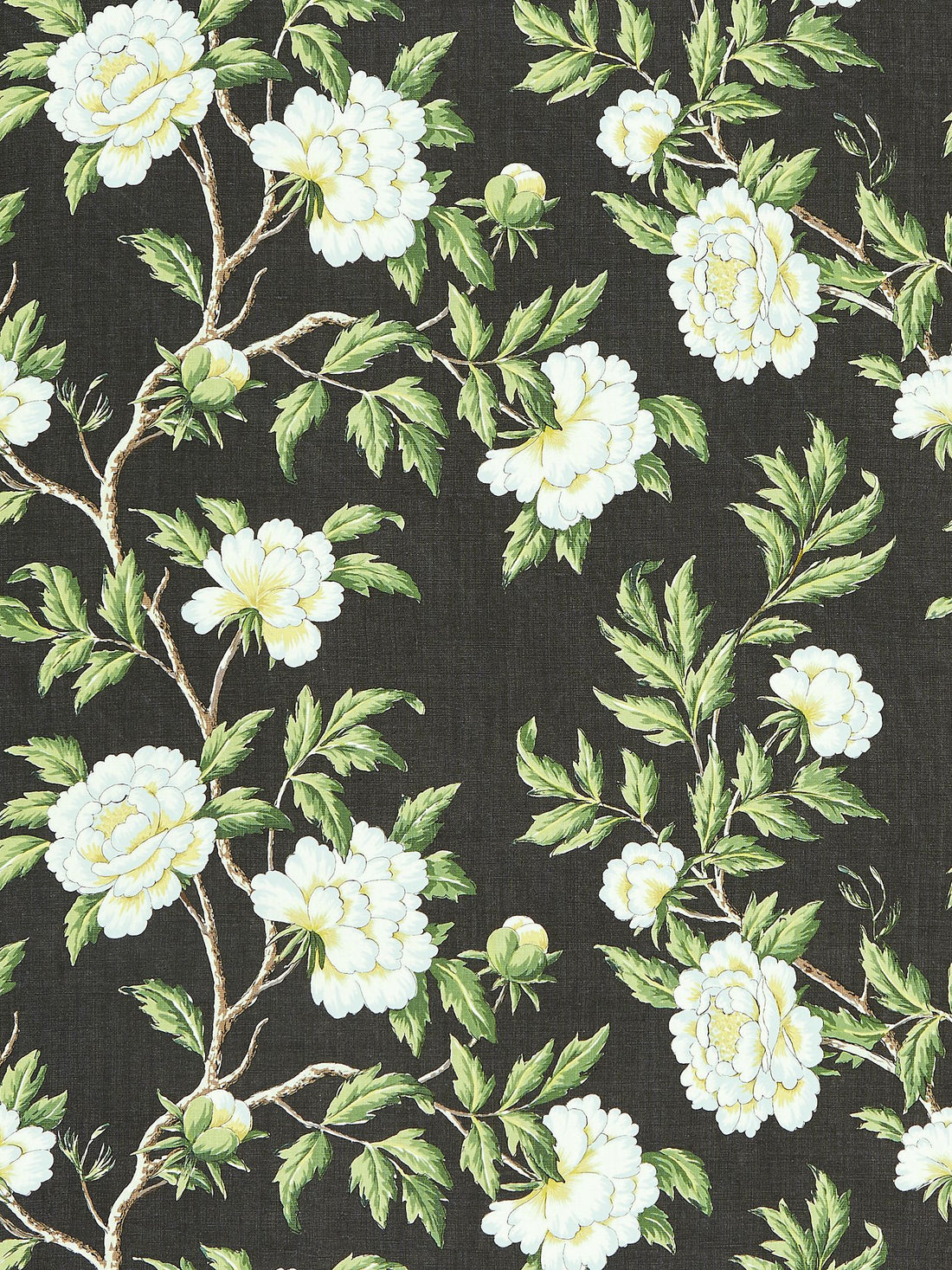 Peonia Linen Print fabric in onyx color - pattern number SC 000316616 - by Scalamandre in the Scalamandre Fabrics Book 1 collection