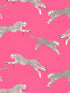 Leaping Cheetah Cotton Print fabric in bubblegum color - pattern number SC 000316634 - by Scalamandre in the Scalamandre Fabrics Book 1 collection