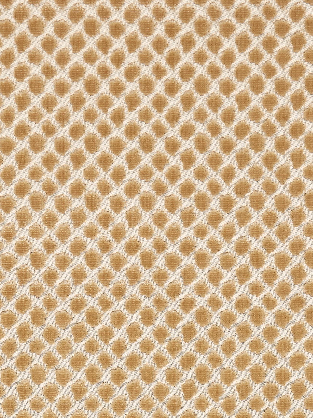 Etosha Velvet fabric in palomino color - pattern number SC 000327022 - by Scalamandre in the Scalamandre Fabrics Book 1 collection