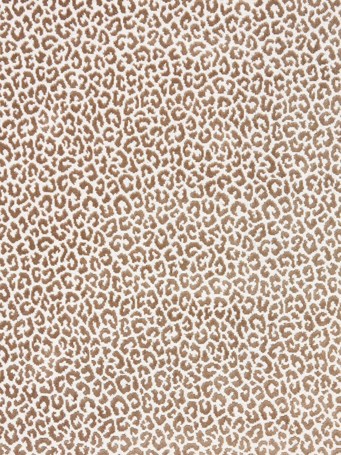 Panthera Velvet fabric in sable color - pattern number SC 000327037 - by Scalamandre in the Scalamandre Fabrics Book 1 collection