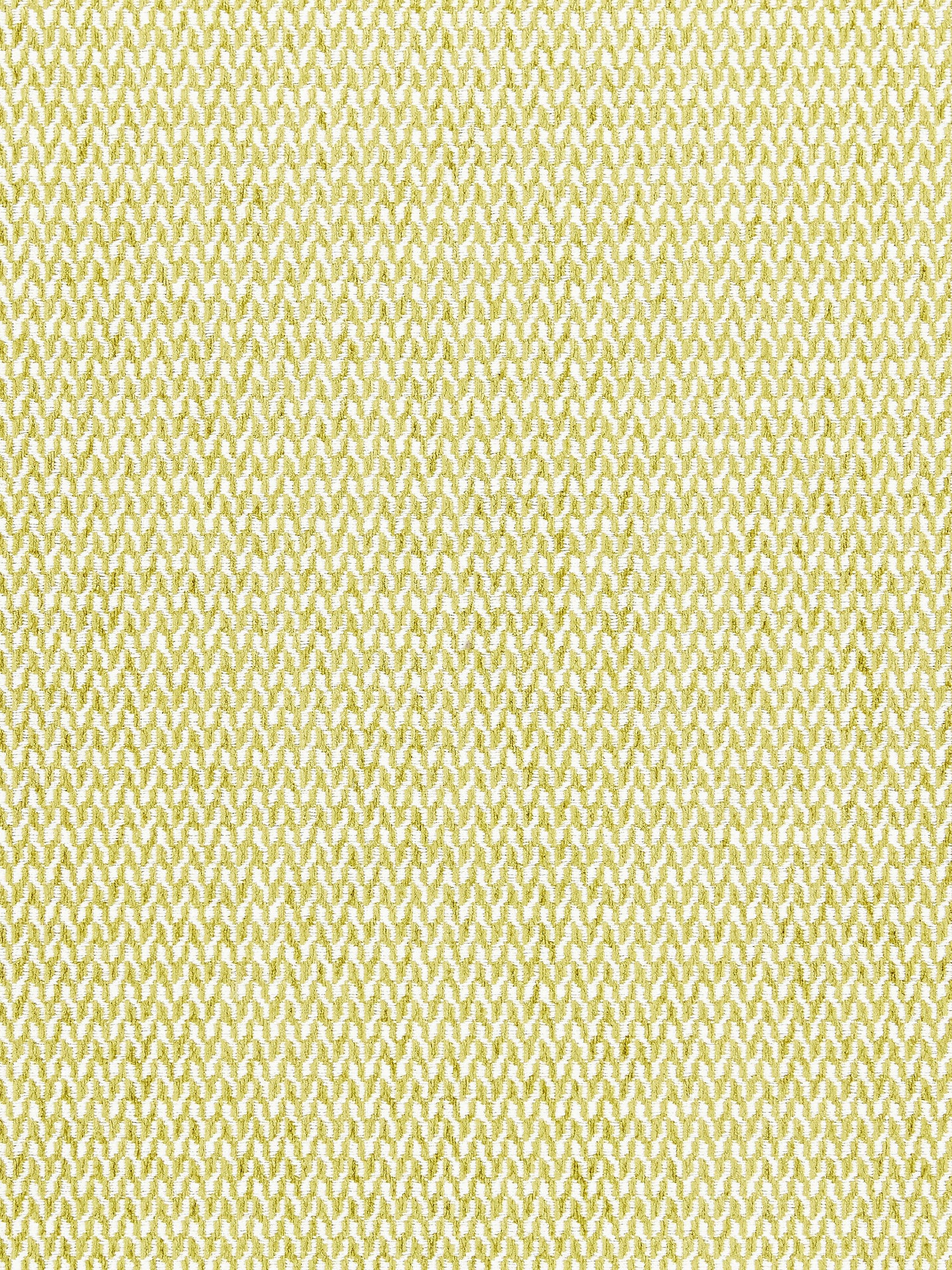 Cortona Chenille fabric in fern color - pattern number SC 000327104 - by Scalamandre in the Scalamandre Fabrics Book 1 collection