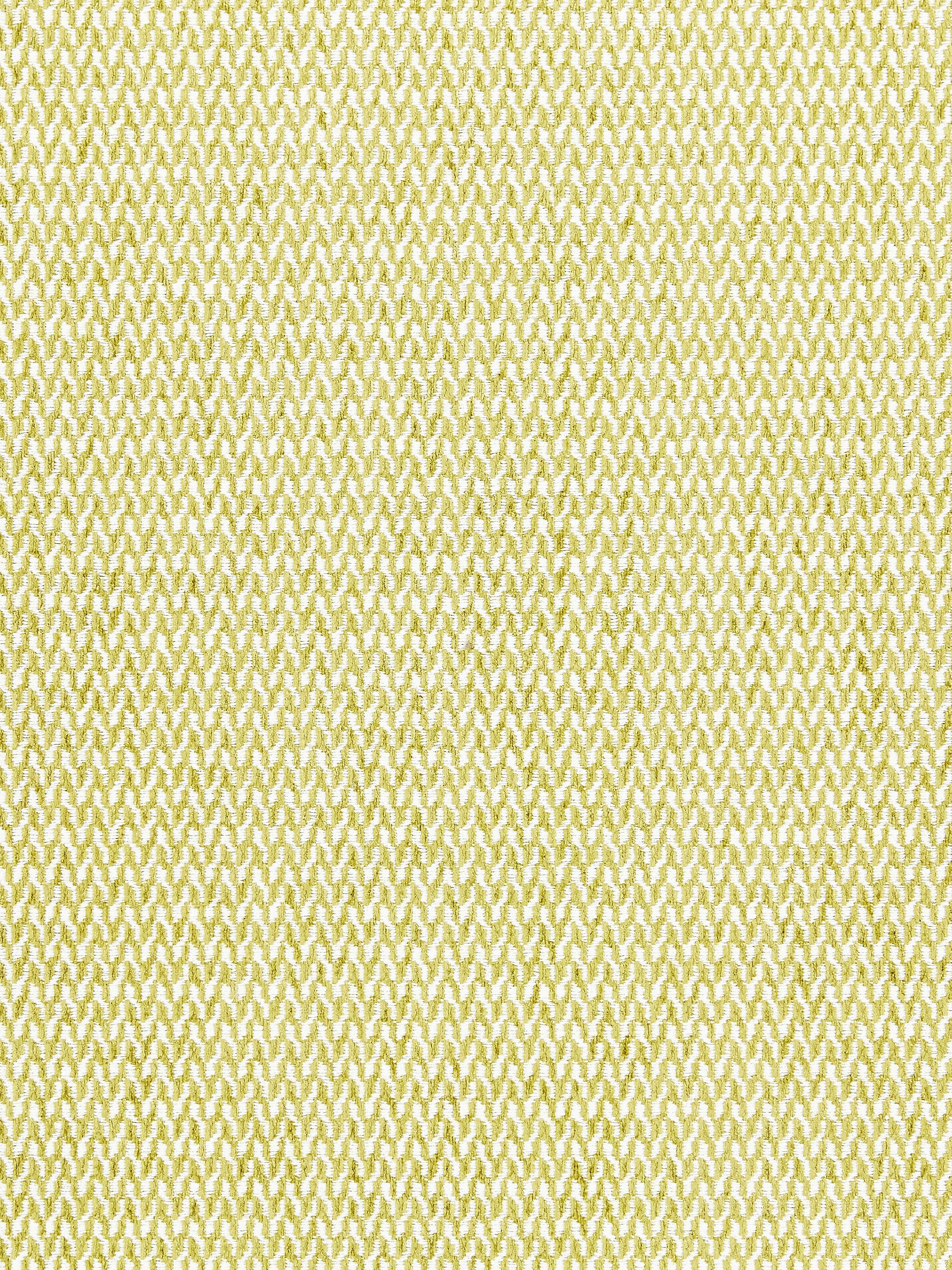 Cortona Chenille fabric in fern color - pattern number SC 000327104 - by Scalamandre in the Scalamandre Fabrics Book 1 collection