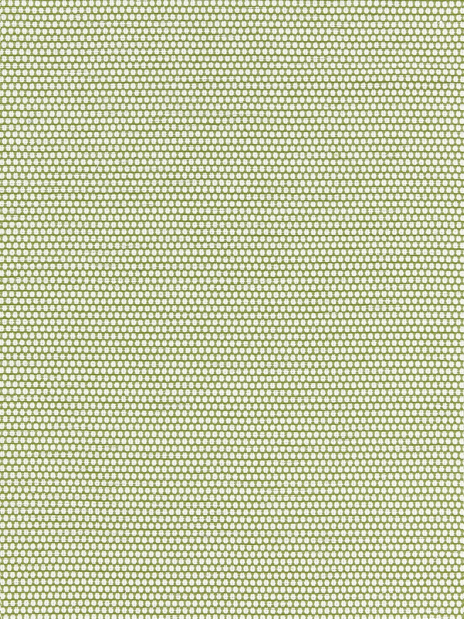 Corsica Weave fabric in palm color - pattern number SC 000327190 - by Scalamandre in the Scalamandre Fabrics Book 1 collection