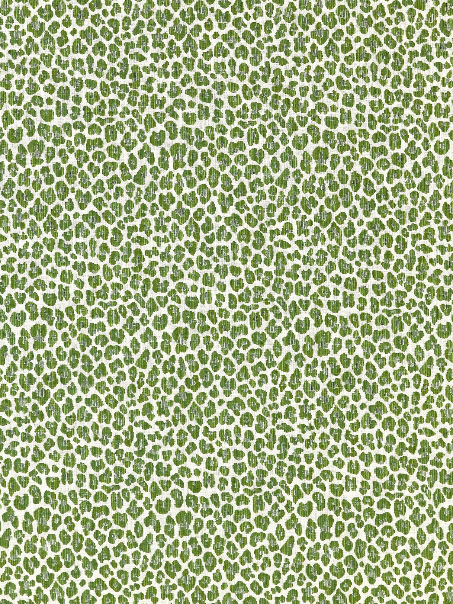 Backyard Bengal fabric in ivy color - pattern number SC 000327316 - by Scalamandre in the Scalamandre Fabrics Book 1 collection