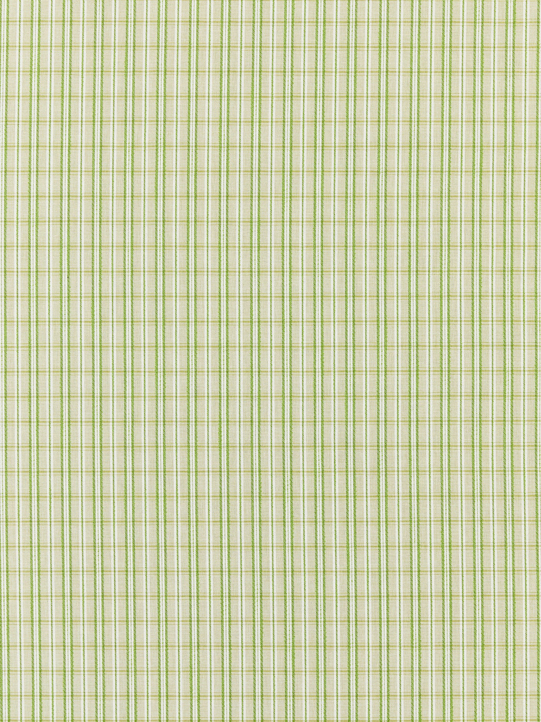 Check Please Outdoor fabric in fern color - pattern number SC 000327318 - by Scalamandre in the Scalamandre Fabrics Book 1 collection