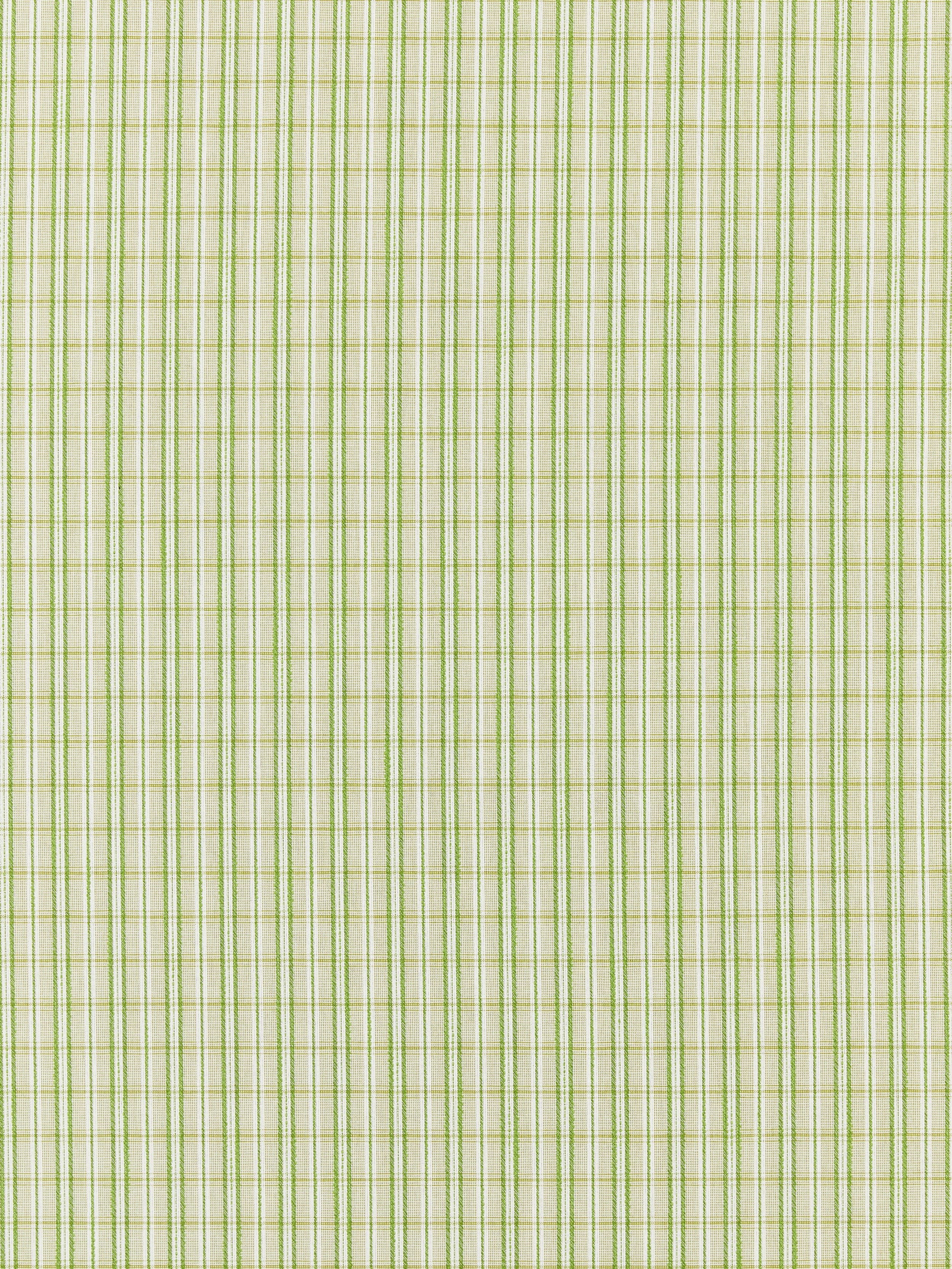 Check Please Outdoor fabric in fern color - pattern number SC 000327318 - by Scalamandre in the Scalamandre Fabrics Book 1 collection