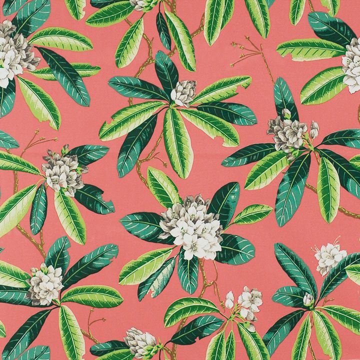 Rhododendron Outdoor fabric in greys and greens on flamingo color - pattern number SC 000416454 - by Scalamandre in the Scalamandre Fabrics Book 1 collection