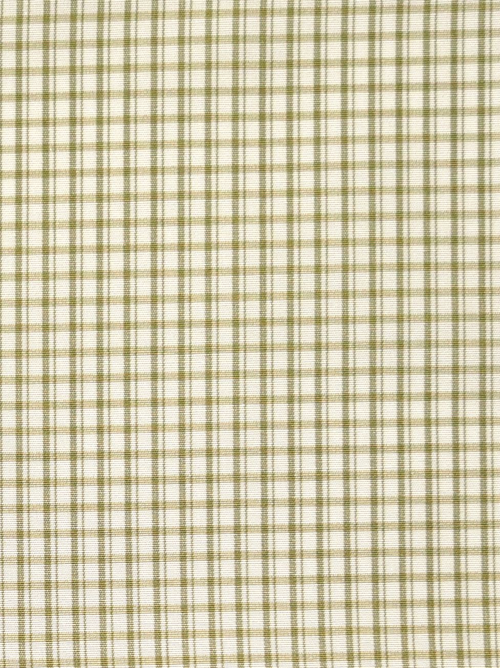 Astor Check fabric in leaf color - pattern number SC000526983 - by Scalamandre in the Scalamandre Fabrics Book 2 collection