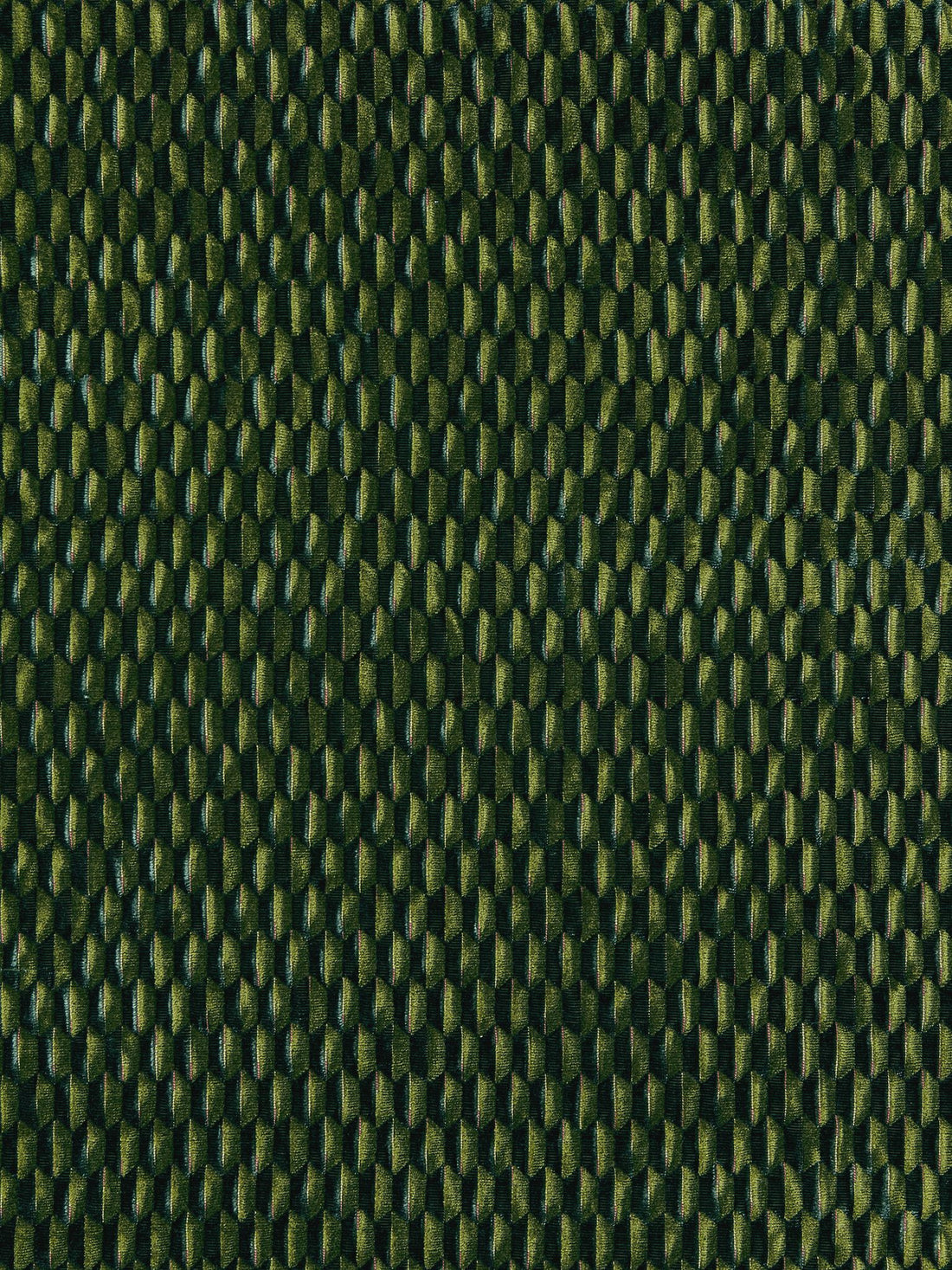 Allegra Velvet fabric in emerald color - pattern number SC000527184 - by Scalamandre in the Scalamandre Fabrics Book 2 collection