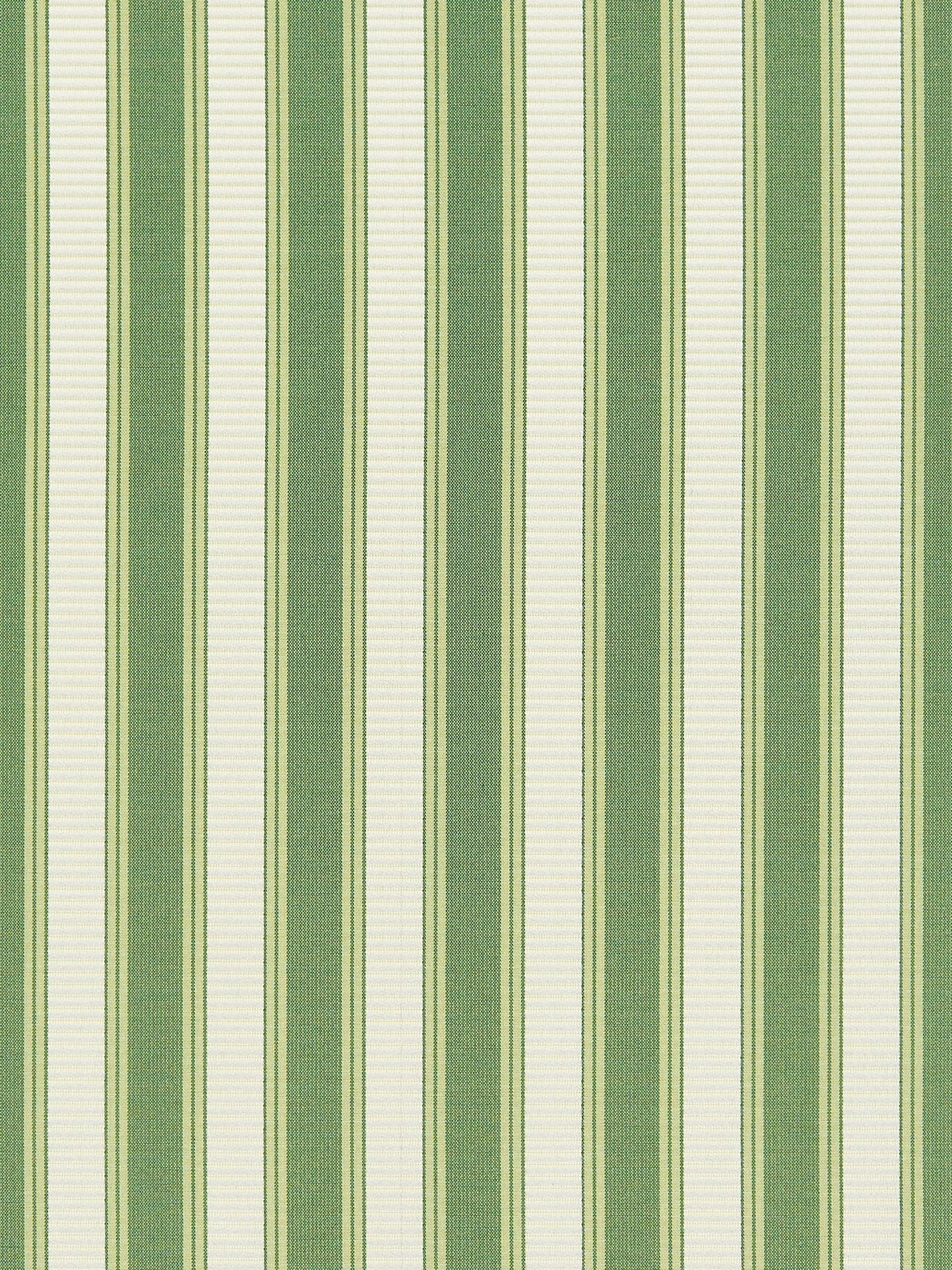 Shirred Stripe fabric in bonsai color - pattern number SC0030121M - by Scalamandre in the Scalamandre Fabrics Book 2 collection