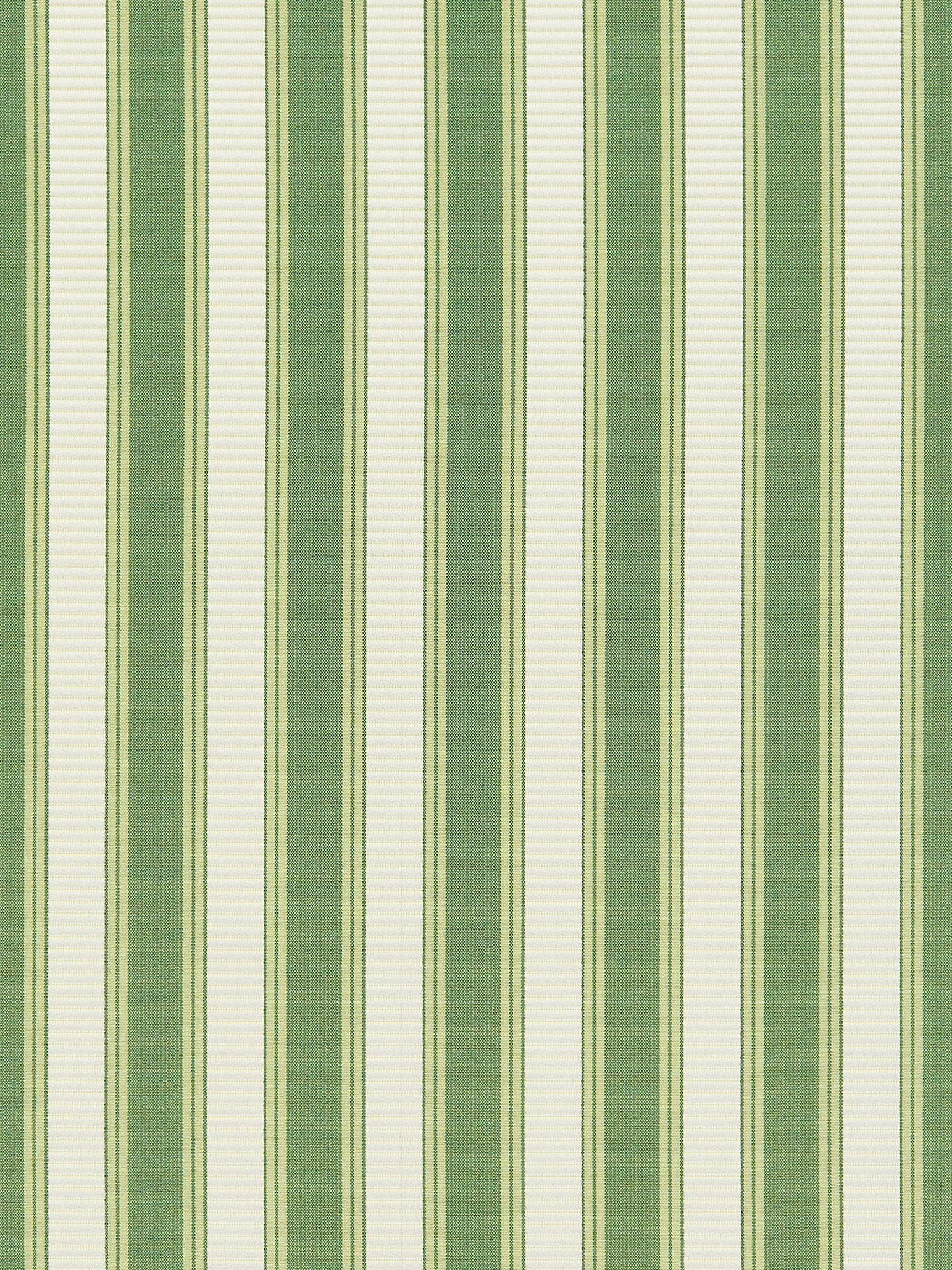 Shirred Stripe fabric in bonsai color - pattern number SC0030121M - by Scalamandre in the Scalamandre Fabrics Book 2 collection