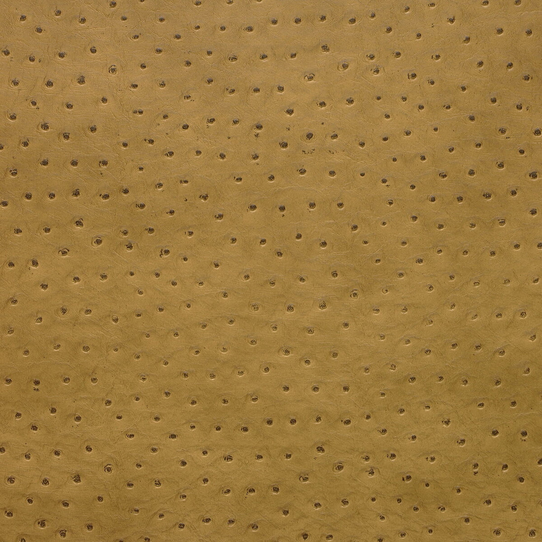 Kravet Design fabric in senna-4 color - pattern SENNA.4.0 - by Kravet Design