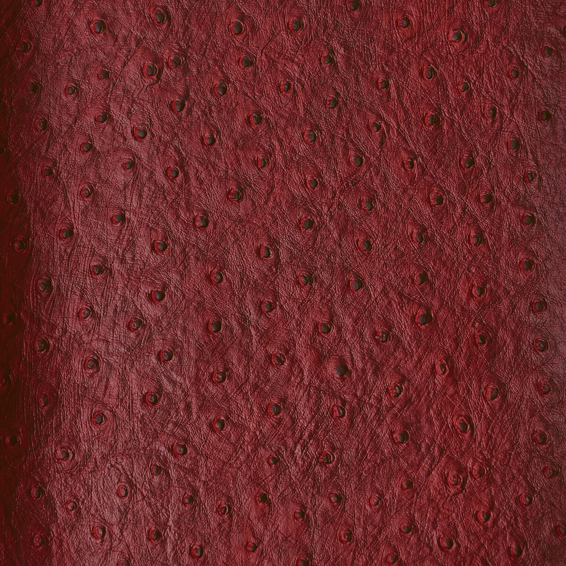 Kravet Design fabric in senna-909 color - pattern SENNA.909.0 - by Kravet Design