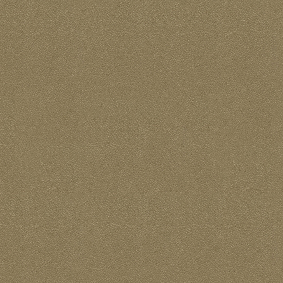 Side Kick fabric in taupe color - pattern SIDE KICK.106.0 - by Kravet Couture