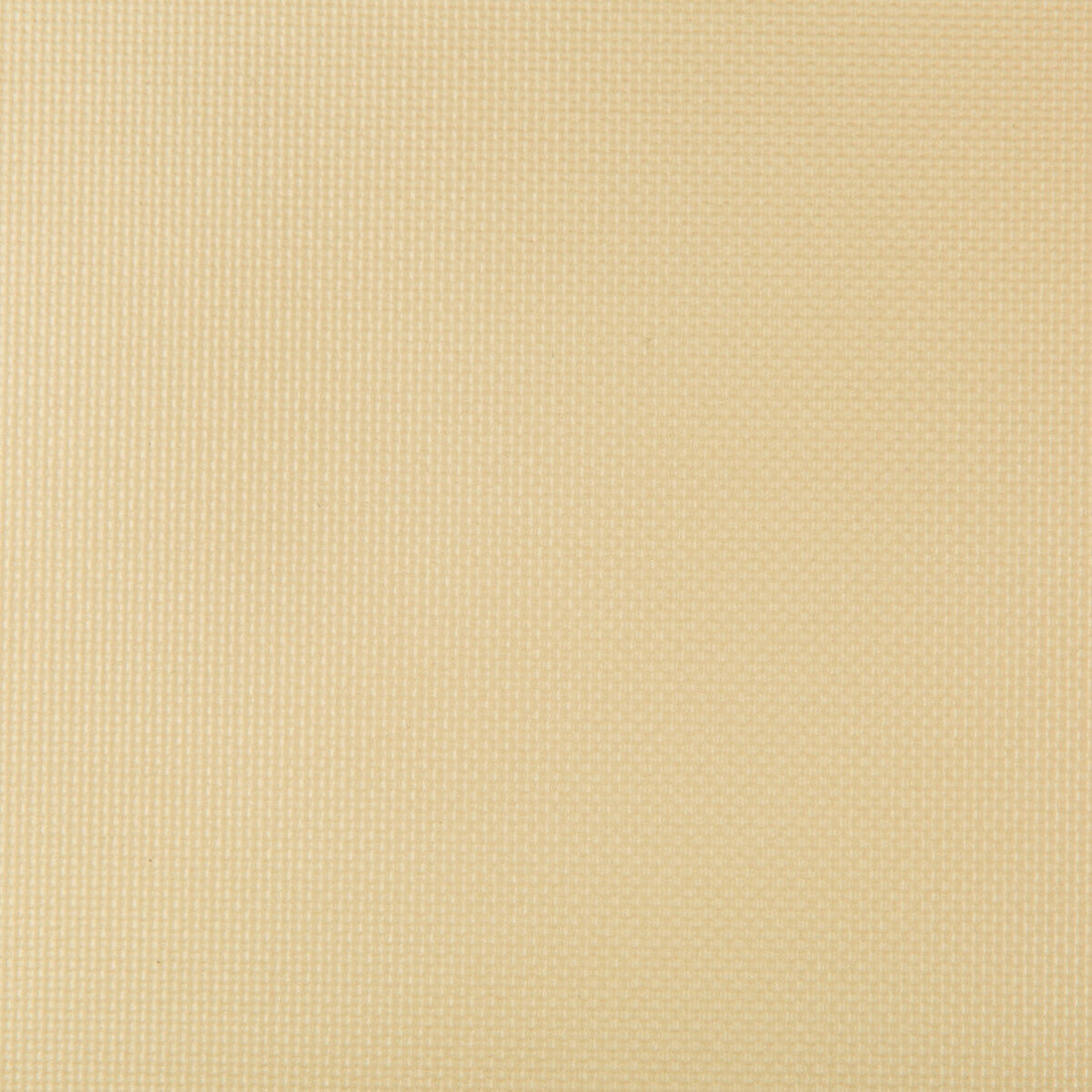 Sidney fabric in bubbly color - pattern SIDNEY.114.0 - by Kravet Contract