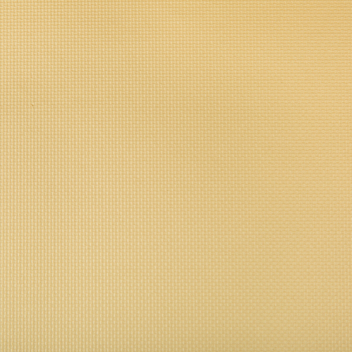 Sidney fabric in soft gold color - pattern SIDNEY.14.0 - by Kravet Contract