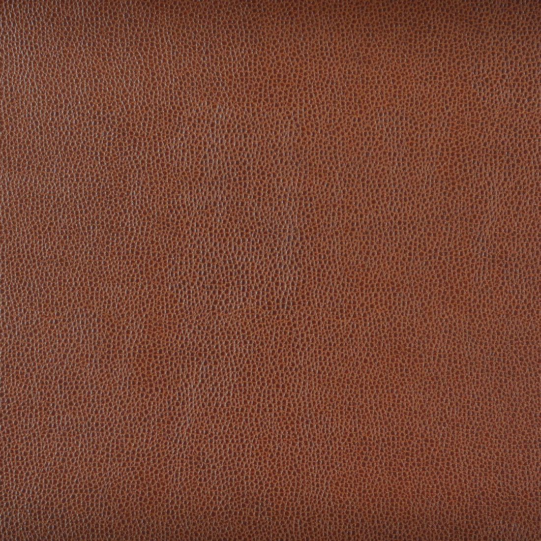 Kravet Design fabric in sparta-6 color - pattern SPARTA.6.0 - by Kravet Design
