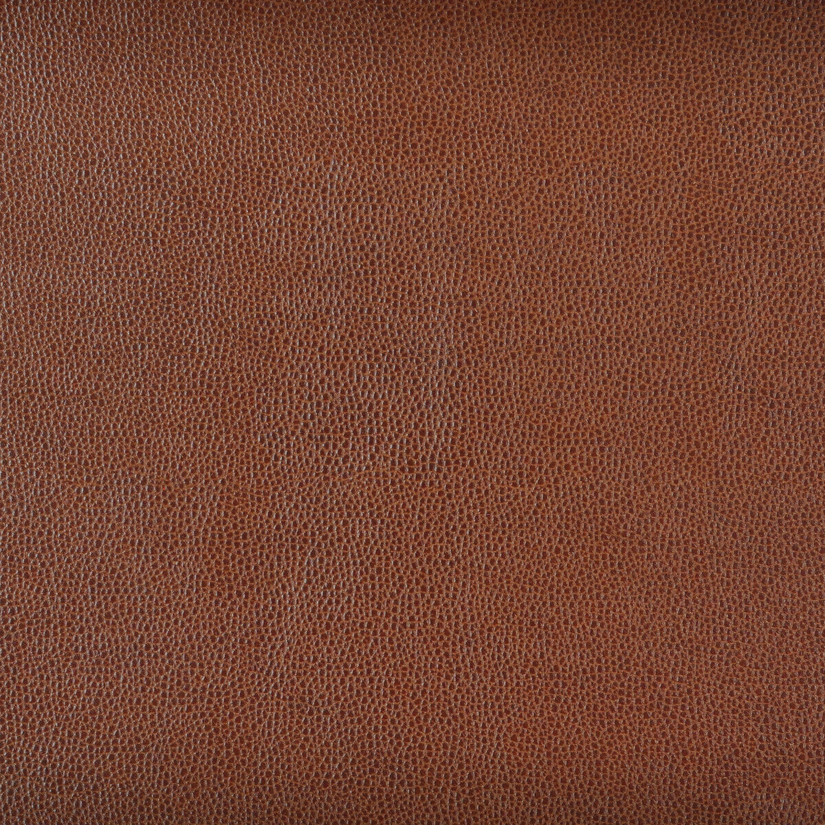 Kravet Design fabric in sparta-6 color - pattern SPARTA.6.0 - by Kravet Design