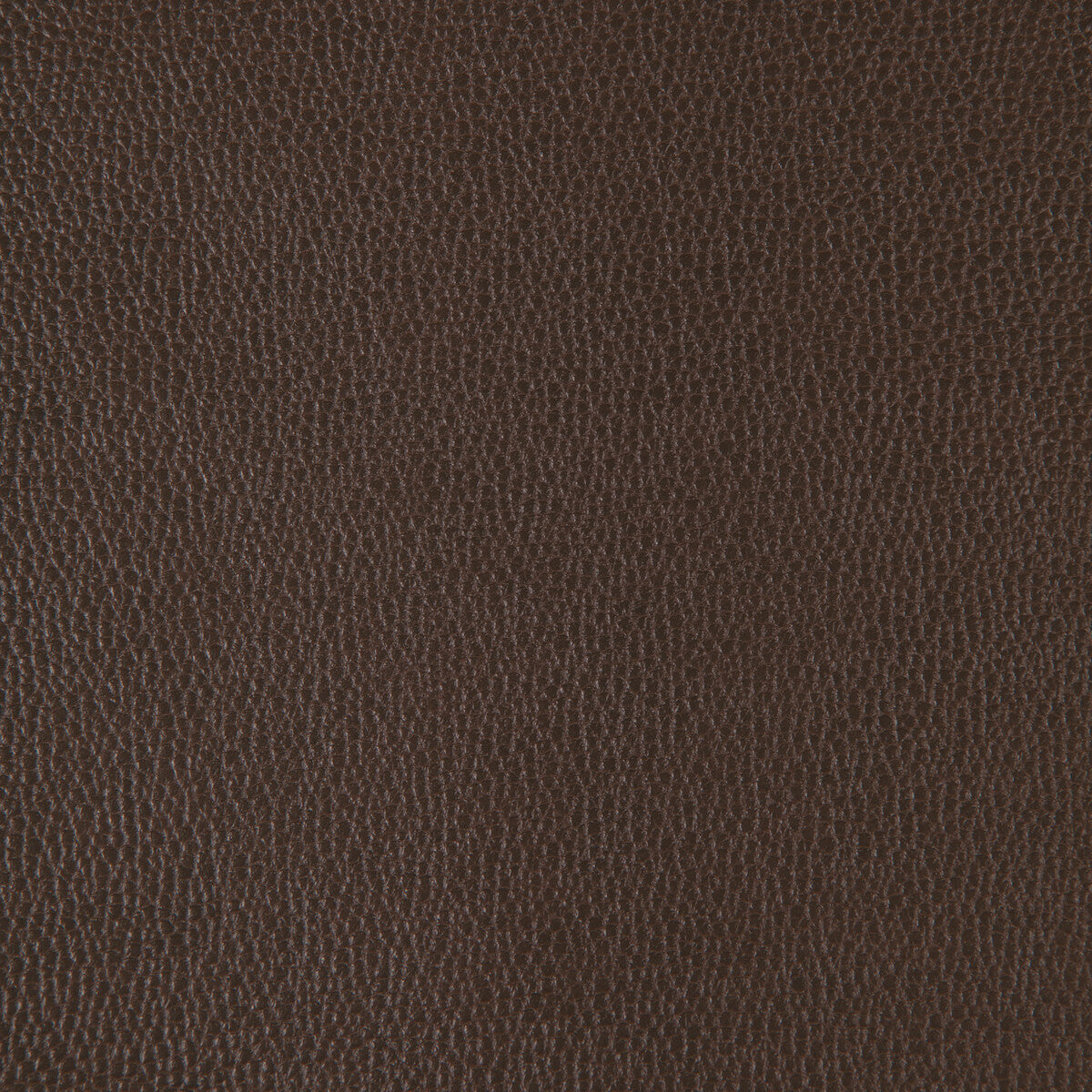 Sparta fabric in sparta-6666 color - pattern number SPARTA.6666.0 - by Kravet Design in the Faux Leather IV collection