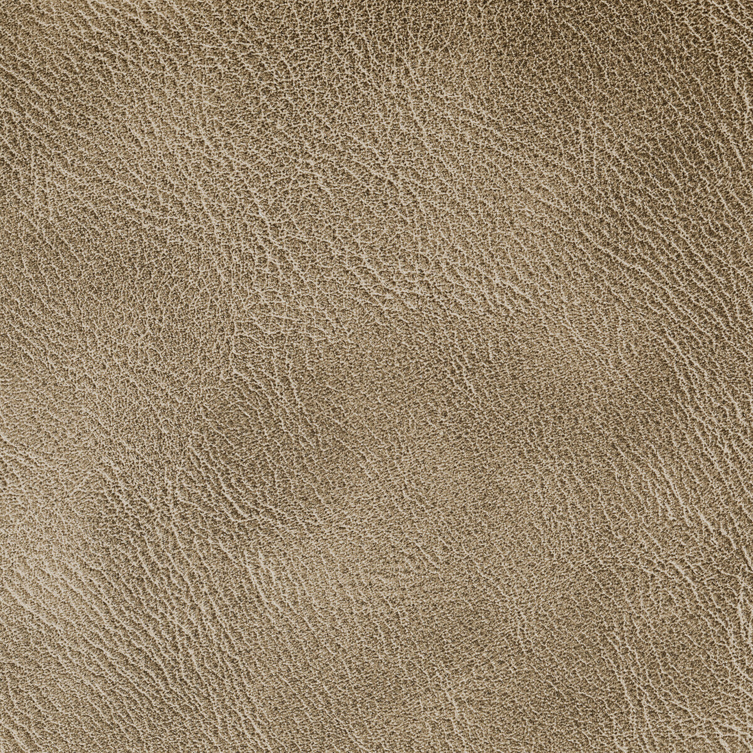 Spur fabric in cocoa color - pattern SPUR.606.0 - by Kravet Contract in the Foundations / Value collection