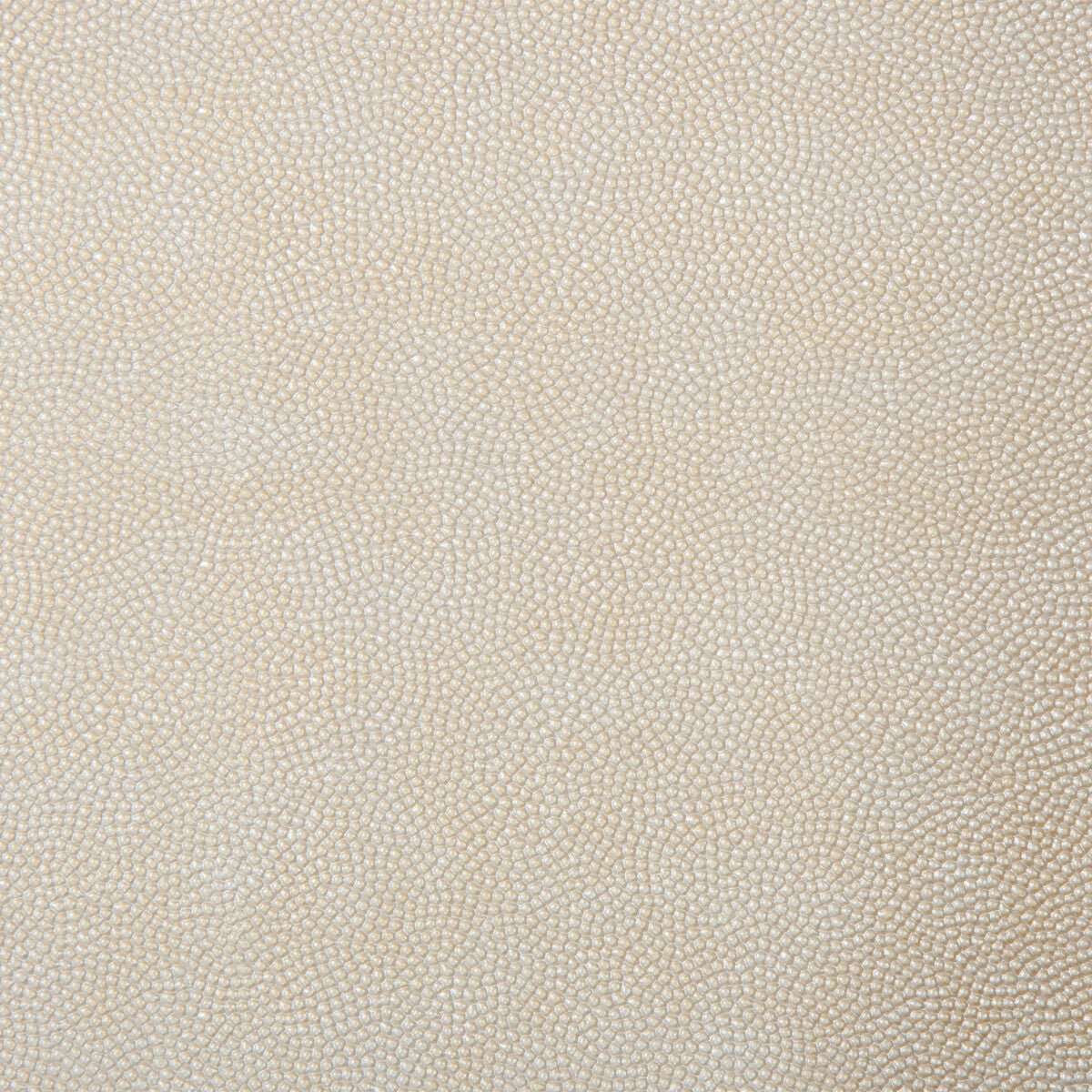 Kravet Design fabric in stelline-1 color - pattern STELLINE.1.0 - by Kravet Design