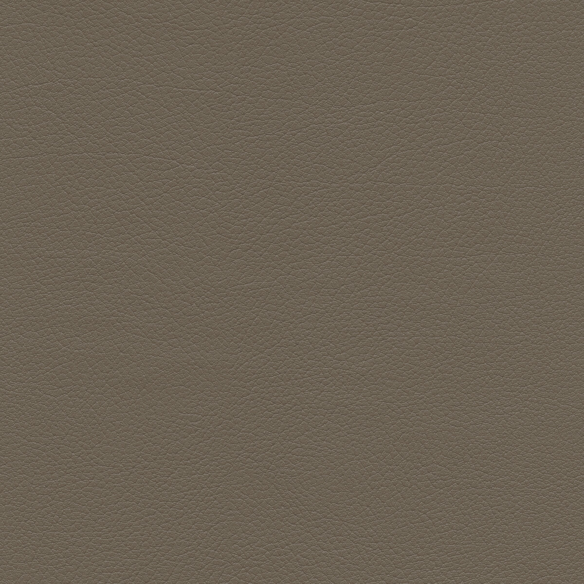 Sumac fabric in sumac-11 color - pattern number SUMAC.11.0 - by Kravet Design in the Faux Leather IV collection