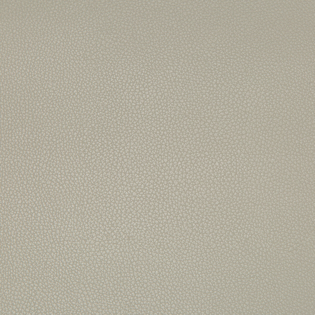 Syrus fabric in stingray color - pattern SYRUS.1121.0 - by Kravet Contract