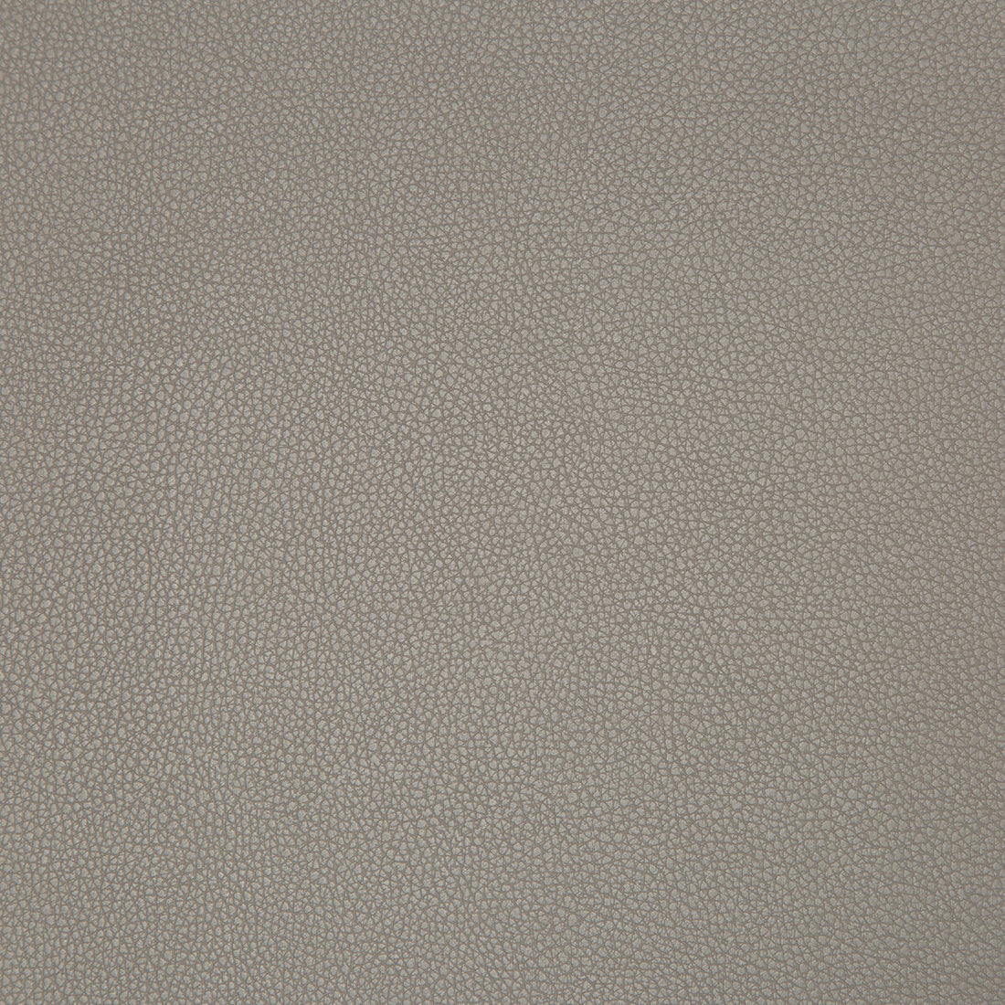 Syrus fabric in truffle color - pattern SYRUS.2106.0 - by Kravet Contract