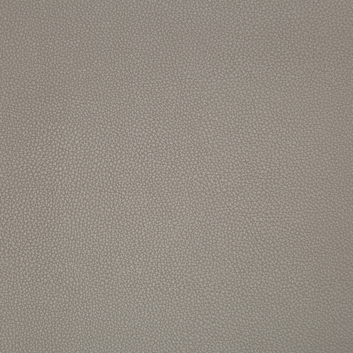 Syrus fabric in truffle color - pattern SYRUS.2106.0 - by Kravet Contract