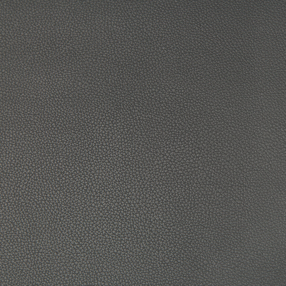 Syrus fabric in gunmetal color - pattern SYRUS.2121.0 - by Kravet Contract