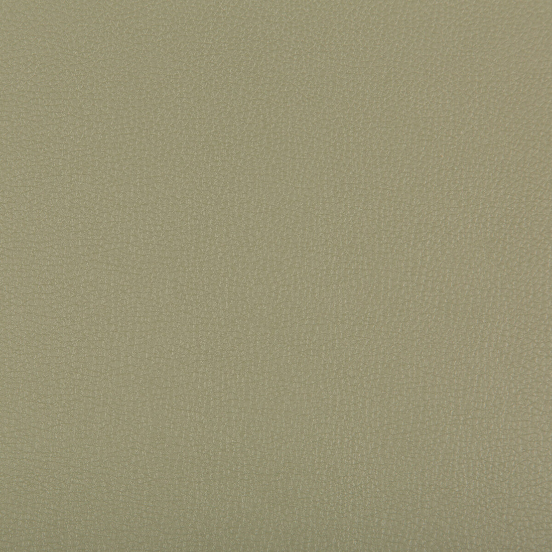 Syrus fabric in sage color - pattern SYRUS.311.0 - by Kravet Contract