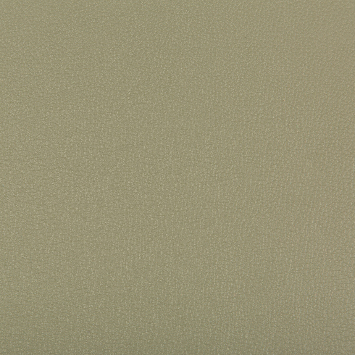 Syrus fabric in sage color - pattern SYRUS.311.0 - by Kravet Contract