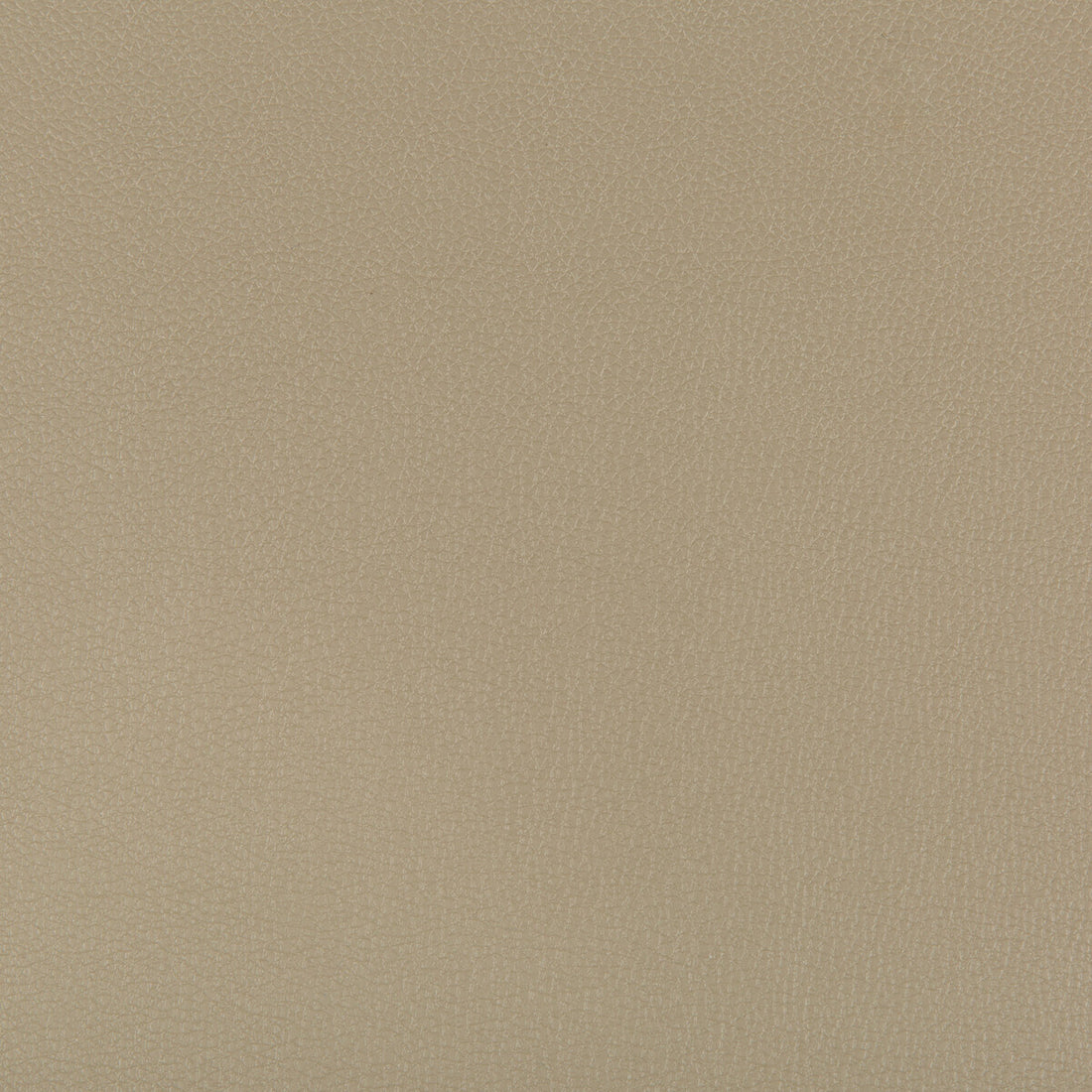 Syrus fabric in elm color - pattern SYRUS.316.0 - by Kravet Contract