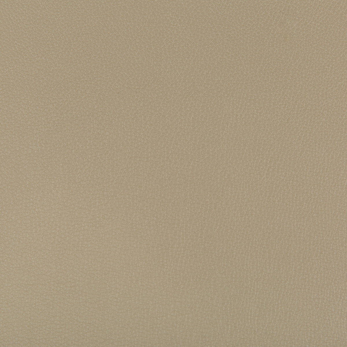 Syrus fabric in elm color - pattern SYRUS.316.0 - by Kravet Contract