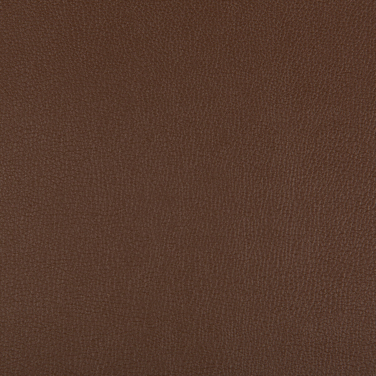 Syrus fabric in chocolate color - pattern SYRUS.6.0 - by Kravet Contract