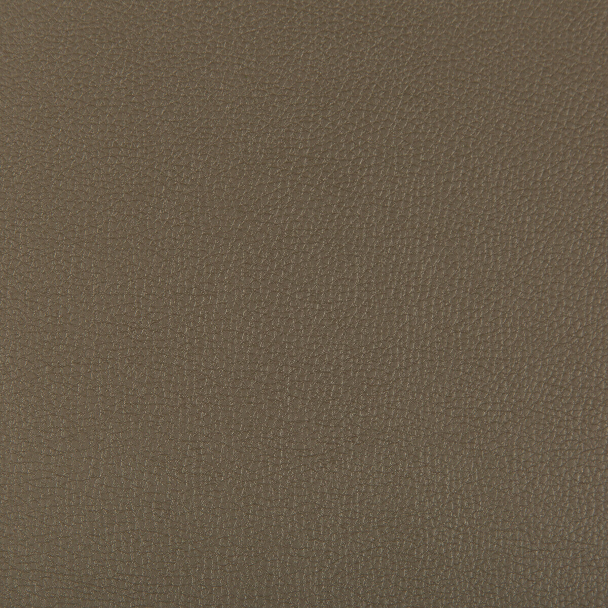 Syrus fabric in porcini color - pattern SYRUS.606.0 - by Kravet Contract