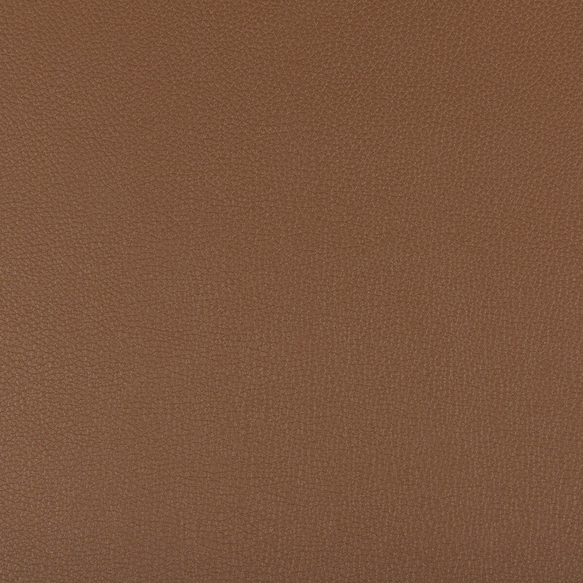 Syrus fabric in brunette color - pattern SYRUS.616.0 - by Kravet Contract