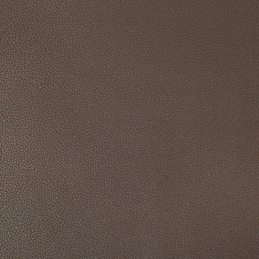 Syrus fabric in espresso color - pattern SYRUS.66.0 - by Kravet Contract