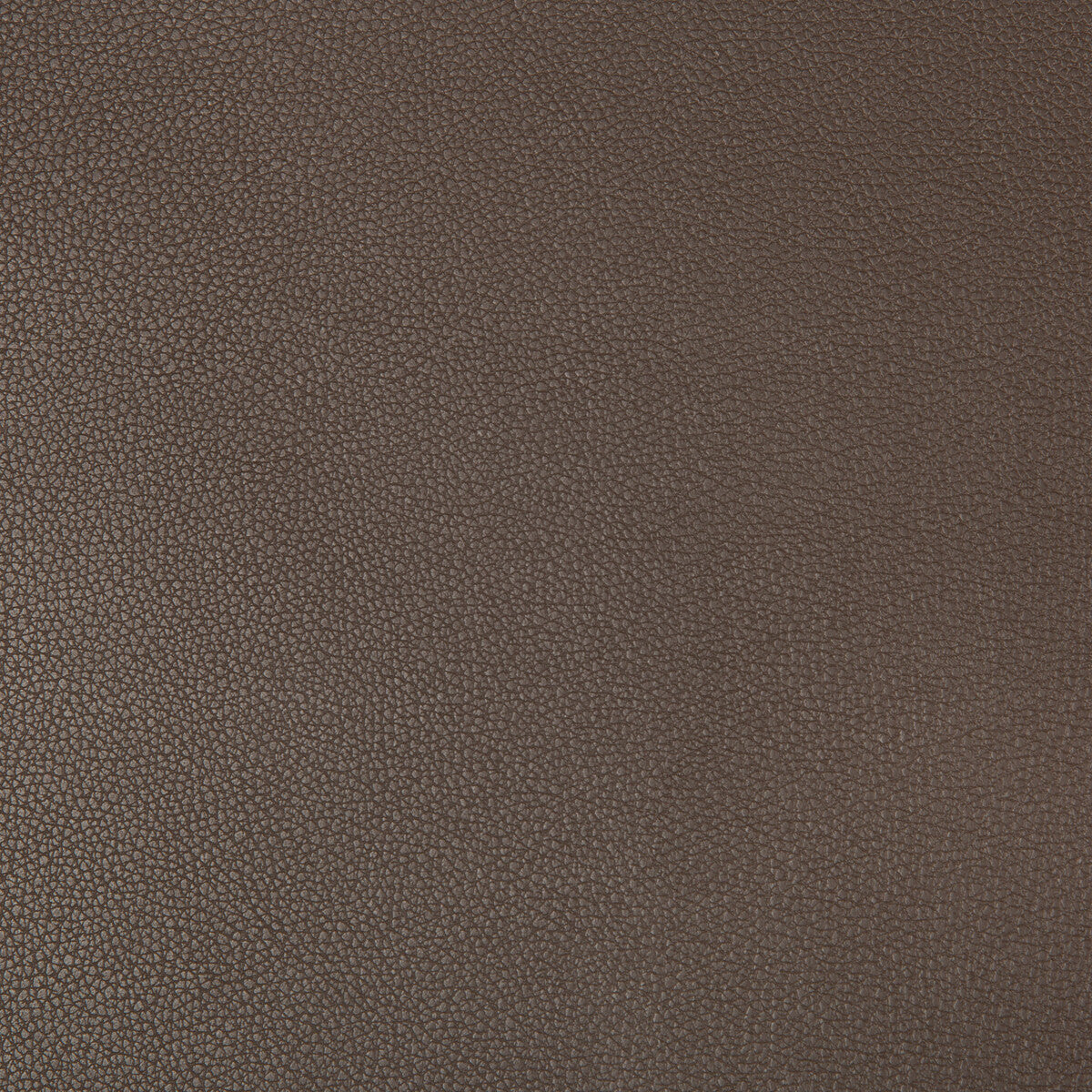 Syrus fabric in espresso color - pattern SYRUS.66.0 - by Kravet Contract