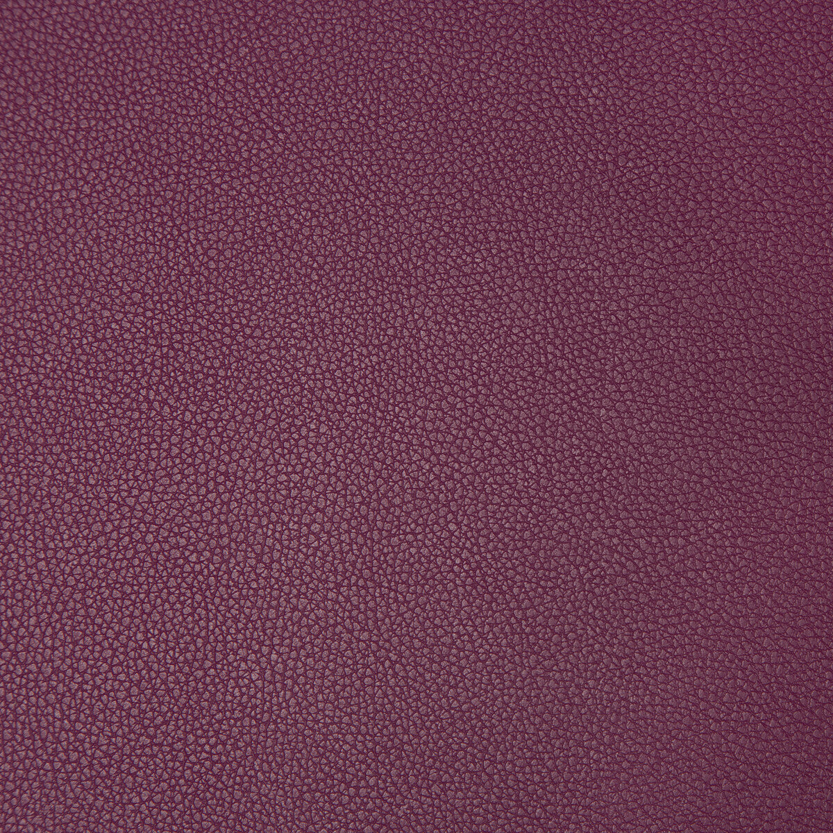 Syrus fabric in mulberry color - pattern SYRUS.910.0 - by Kravet Contract