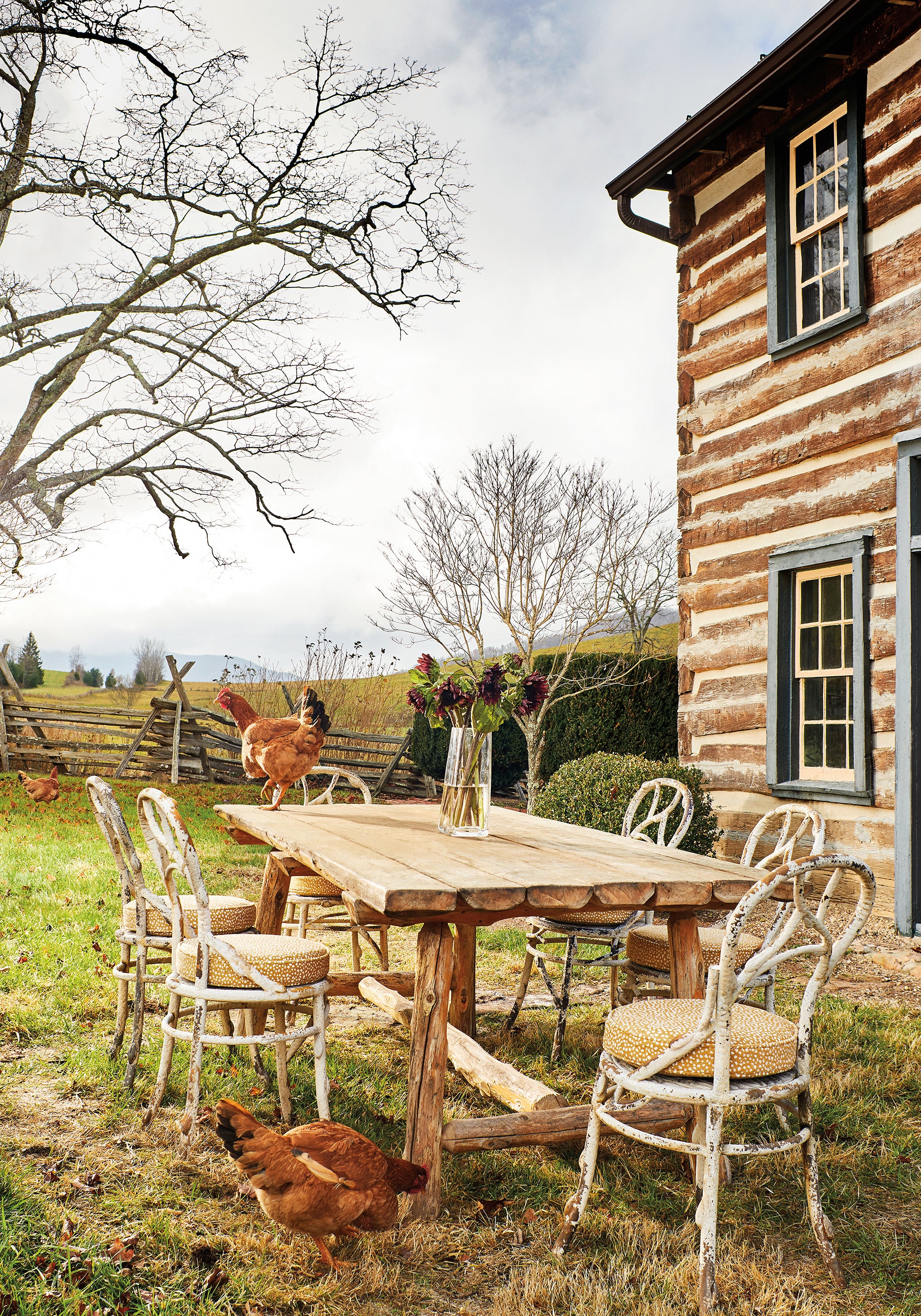 Outdoor seat cushions in Fawn woven fabric in Straw color