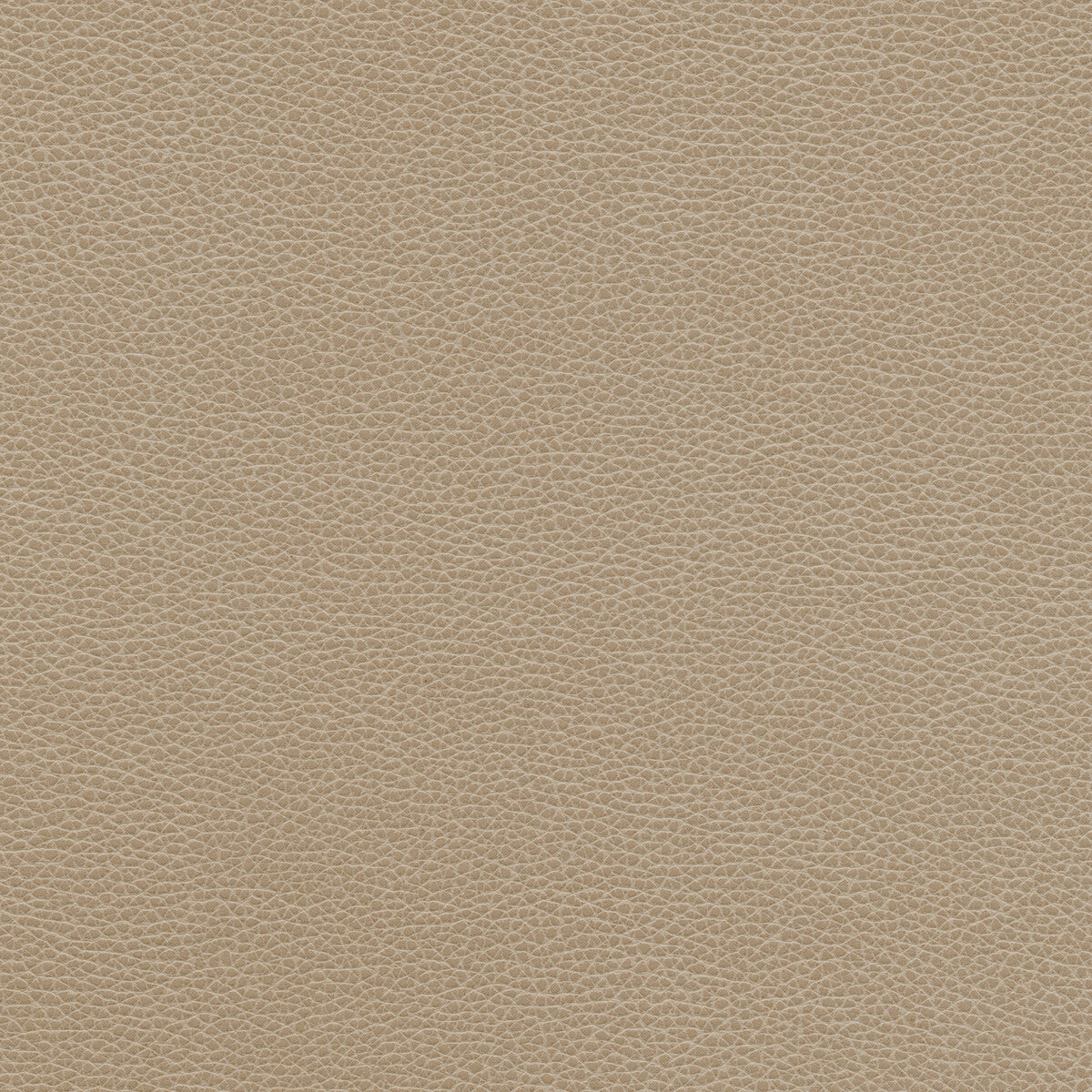 Tannin fabric in tannin-11 color - pattern number TANNIN.11.0 - by Kravet Design in the Faux Leather IV collection