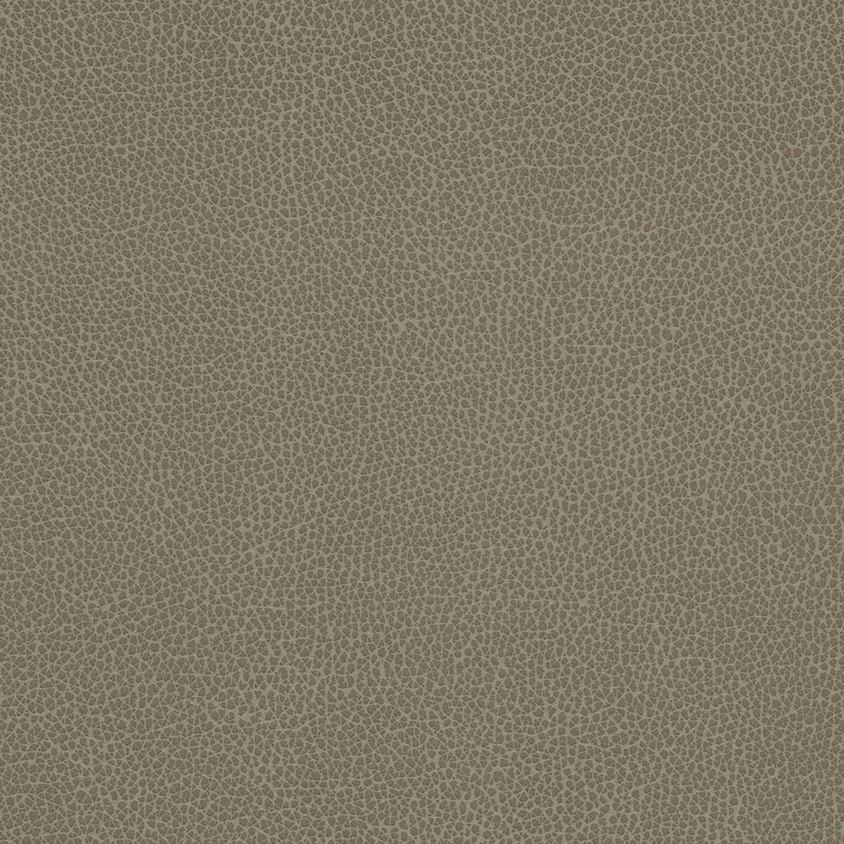 Tannin fabric in tannin-21 color - pattern number TANNIN.21.0 - by Kravet Design in the Faux Leather IV collection