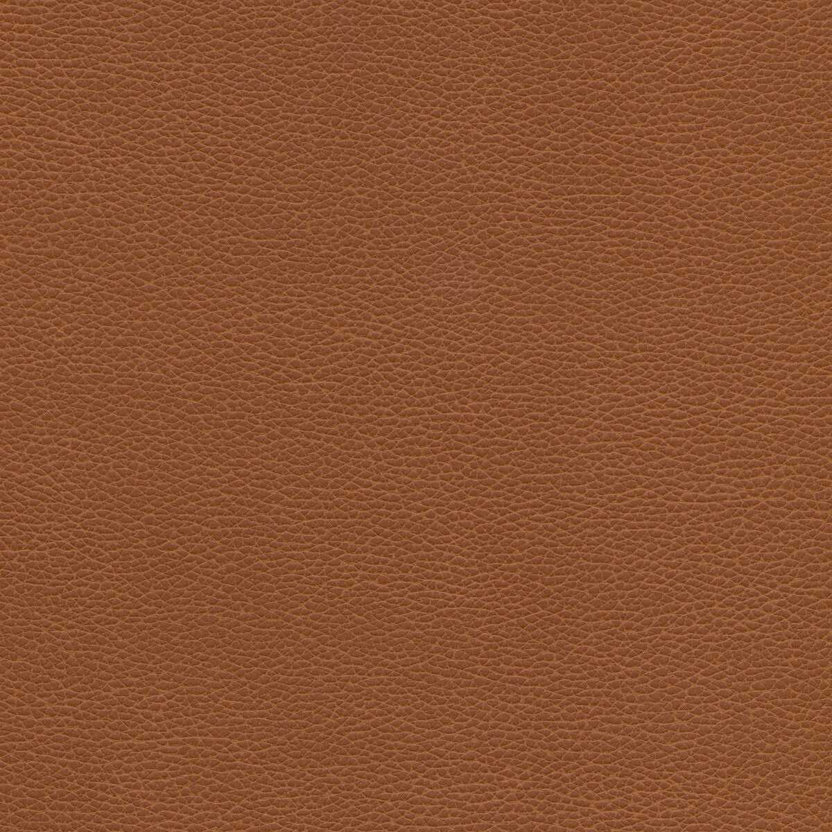 Tannin fabric in tannin-6 color - pattern number TANNIN.6.0 - by Kravet Design in the Faux Leather IV collection