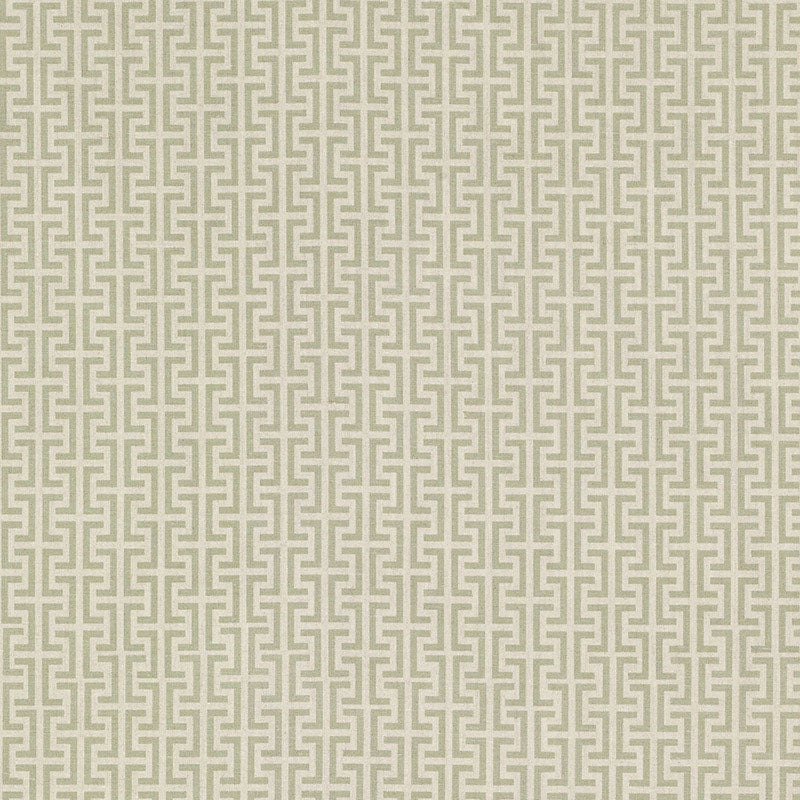 Temple fabric in sage color - pattern number TEMP006 - by Schumacher in the Veere Grenney collection