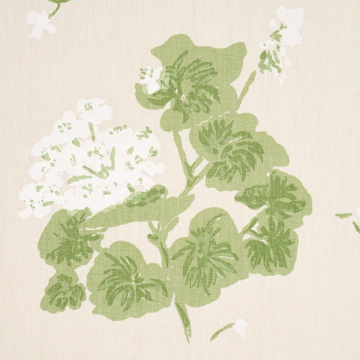 Geranium fabric in white on natural color - pattern number TL400020 - by Schumacher in the Tillett collection